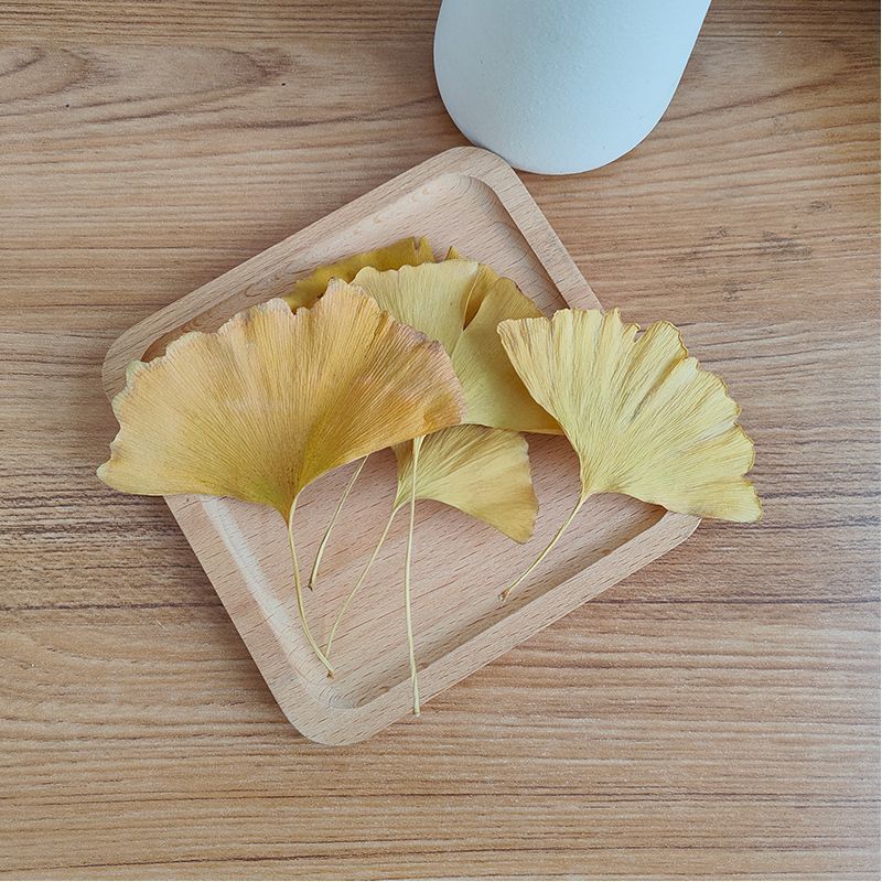 Natuurlijke gedroogde Ginkgo B - Soap Making Home recensie en prijs